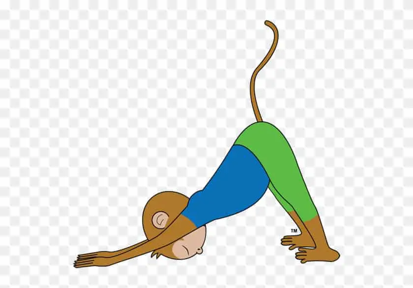 monkey yoga poses